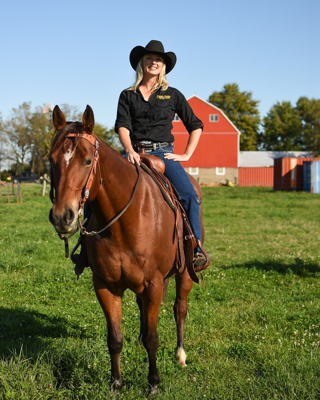 Sarah Parks Horsemanship | 7150 Essex County Rd 20, Amherstburg, ON N9V 0C8, Canada | Phone: (519) 984-4247