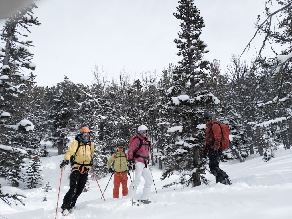 Pantheon Heli-Skiing | Kleena Kleene, BC V0L 1M0, Canada | Phone: (877) 982-2407