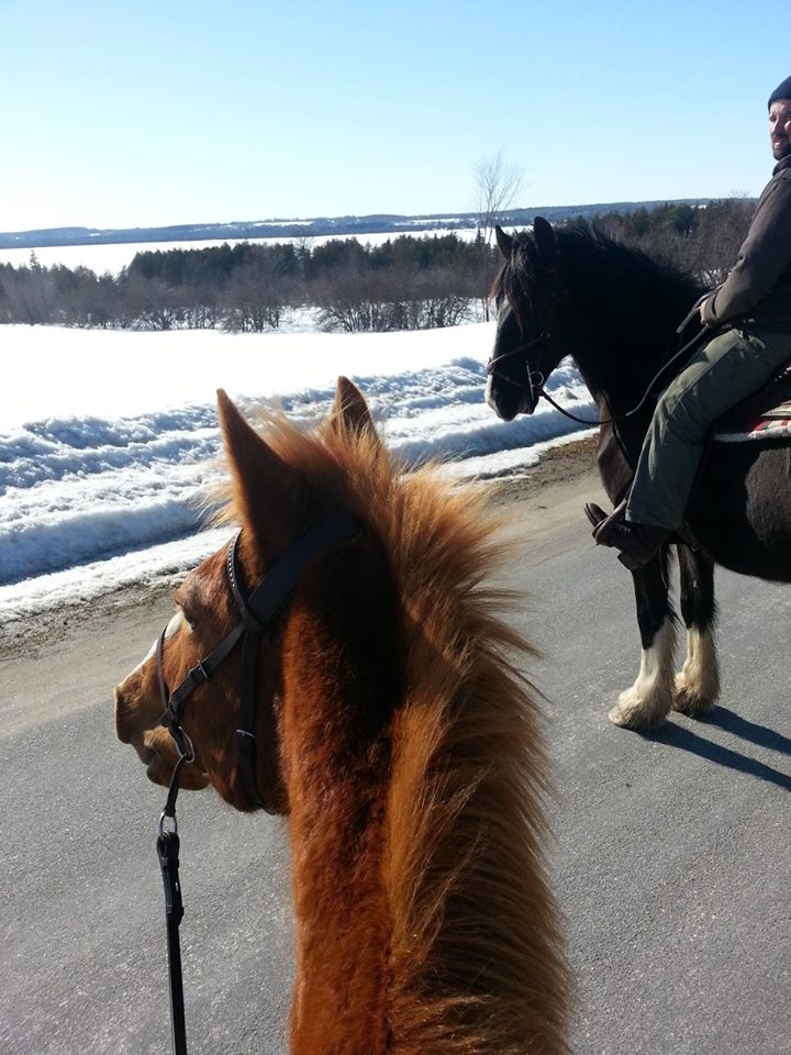 Langman Farms & Equestrian Centre | 2591 Bass Lake Side Rd E, Oro-Medonte, ON L3V 2Z2, Canada | Phone: (705) 345-9689