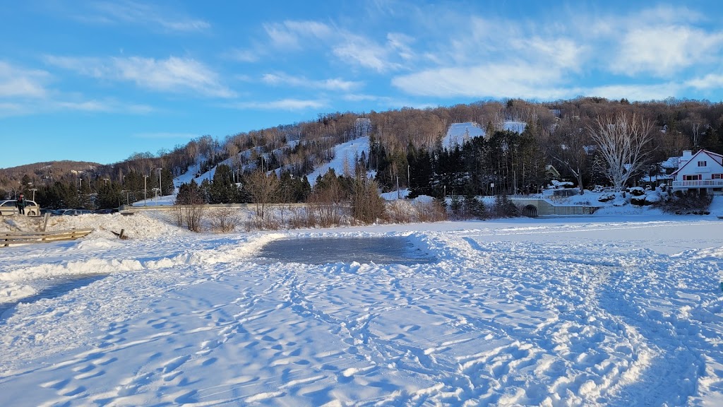 Real Estate Broker Laurentide. | 786 Chem. des Pins O, Saint-Sauveur, QC J0R 1R2, Canada | Phone: (514) 791-3366