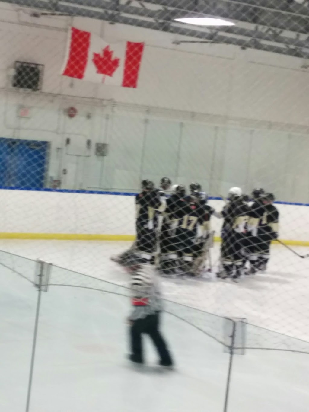 Stew Hendry / Henry Viney Arena | 814 13 Ave NE, Calgary, AB T2E 8A1, Canada | Phone: (403) 268-2489