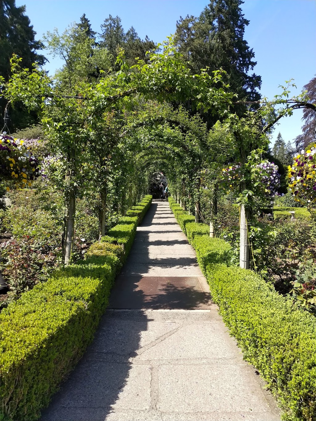 Rose Garden | Brentwood Bay, BC V8M 1A6, Canada