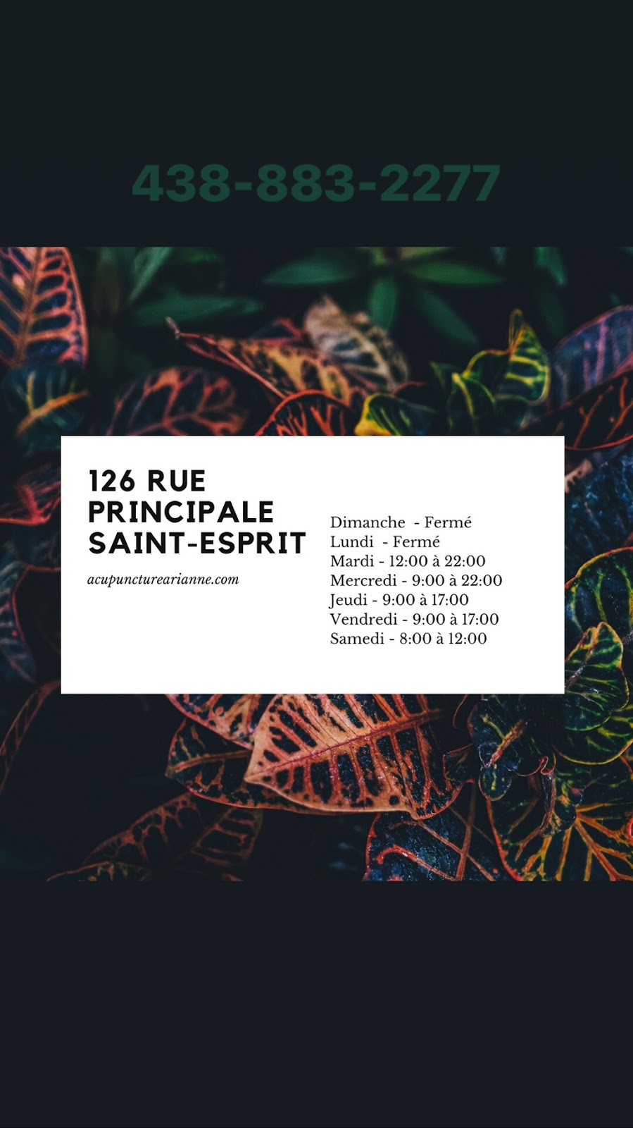 Acupuncture Arianne | 126 Rue Principale, Saint-Esprit, QC J0K 2L0, Canada | Phone: (438) 883-2277
