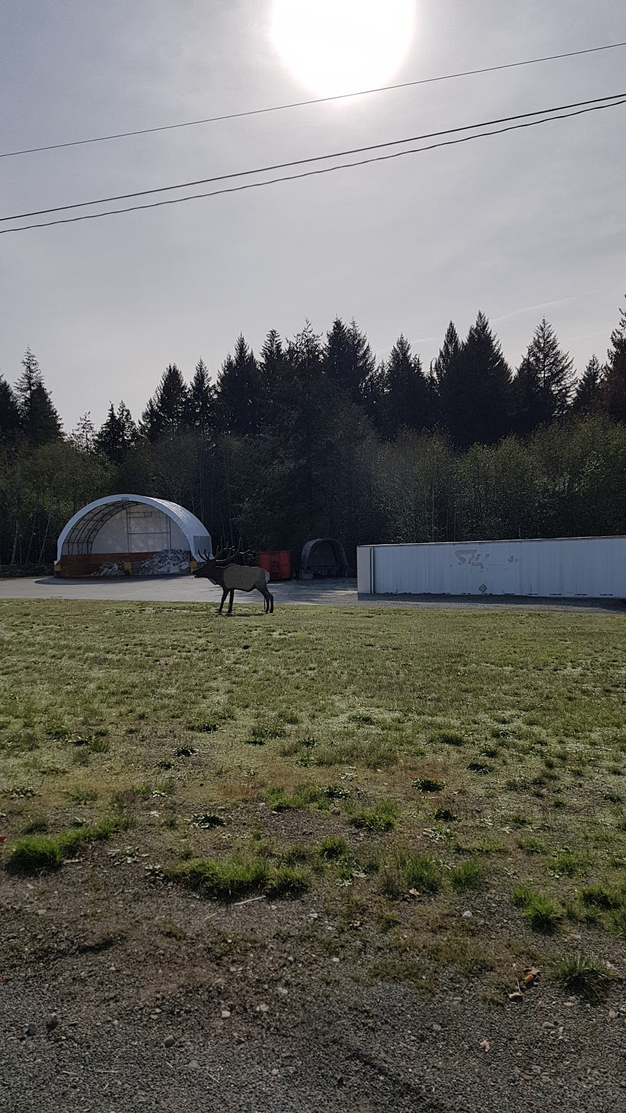Alberni Valley SortnGo Centre (Alberni Valley Landfill) | 7080 McCoy Lake Rd, Port Alberni, BC V9Y 9G1, Canada | Phone: (250) 723-1059