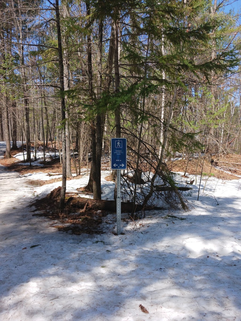 Petawawa Terrace Provincial Park | 17 Sunset Crescent, Petawawa, ON K8H 2L8, Canada | Phone: (613) 757-2103