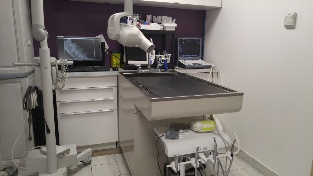 Coquitlam Animal Hospital | 1001 Austin Ave #105, Coquitlam, BC V3K 3N9, Canada | Phone: (604) 931-3565