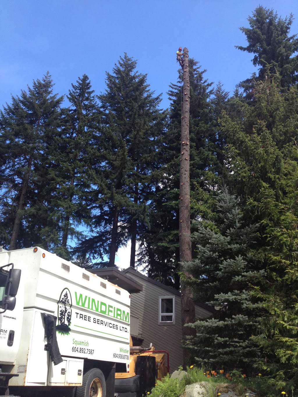 Windfirm Tree Services Ltd | Box 431, 38064 Cleveland Ave, Squamish, BC V8B 0A4, Canada | Phone: (604) 892-7587