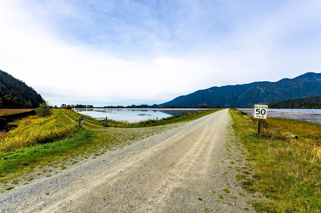 Pitt-Addington Marsh | Pitt Meadows, BC V3Y 1Z1, Canada