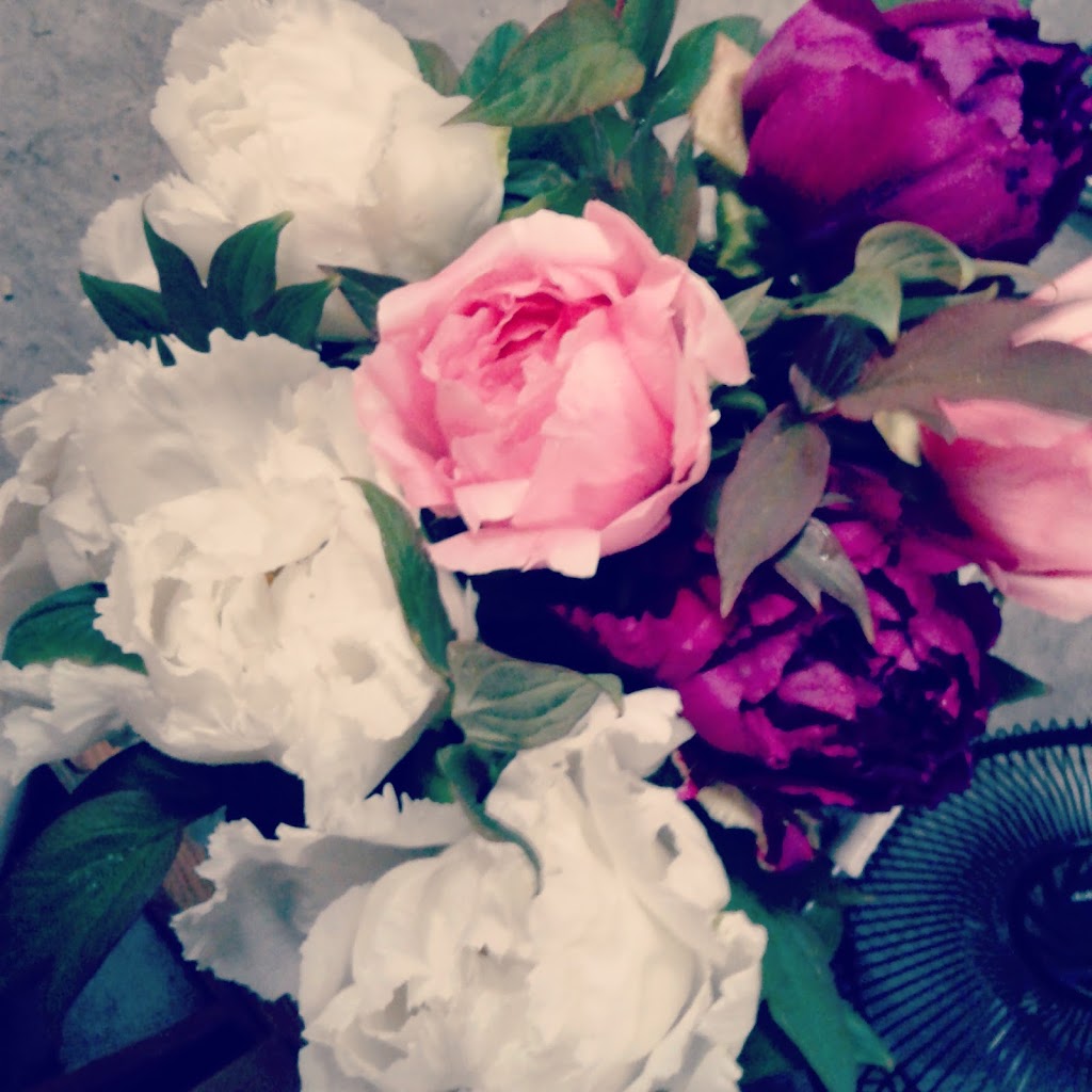 Pure Peonies | 2949 E Badger Rd, Everson, WA 98247, USA | Phone: (360) 966-7878