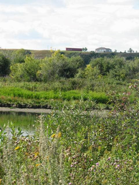 Bow Bench Retreat | Range Road 260, Carseland, AB T0J 0M0, Canada | Phone: (403) 614-8584