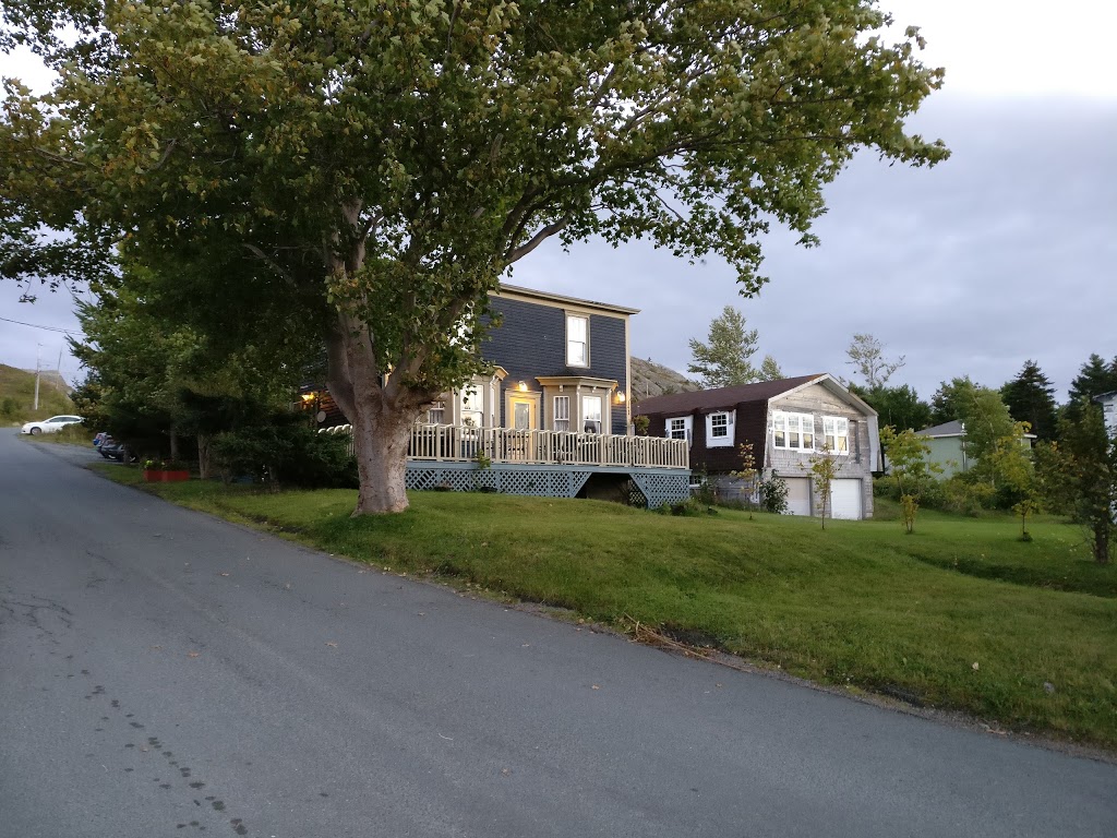 Skipper Bens | 408 Seaforest Dr, Cupids, NL A0A 2B0, Canada | Phone: (877) 528-4436