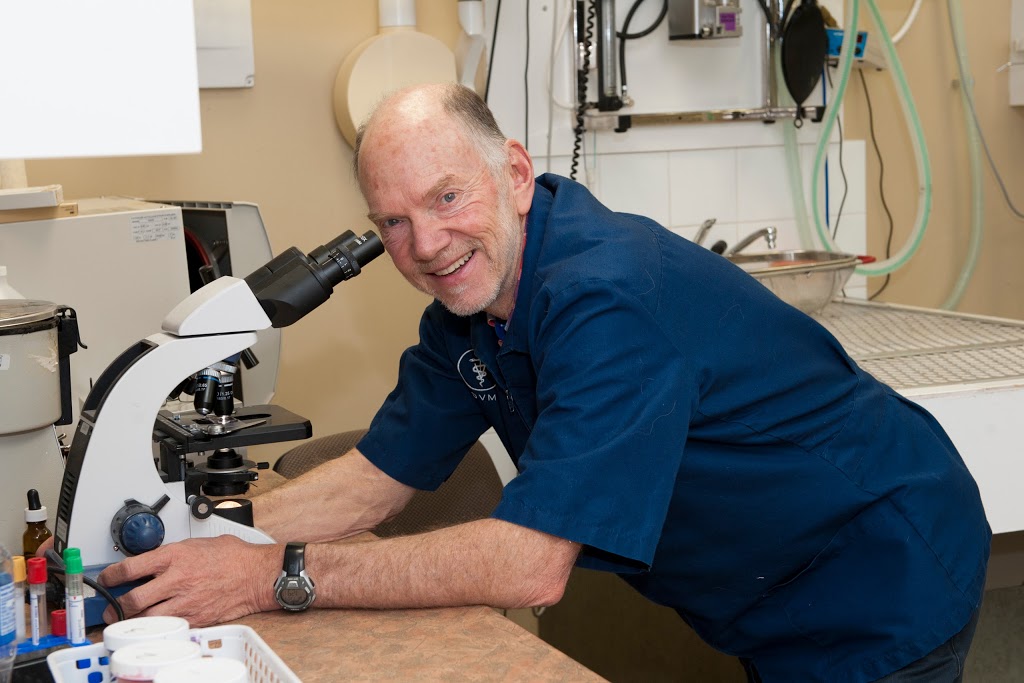 Bridlewood Veterinary Clinic | 26-17107 james McKevitt Rd SW, Calgary, AB T2Y 3Y4, Canada | Phone: (403) 201-6427