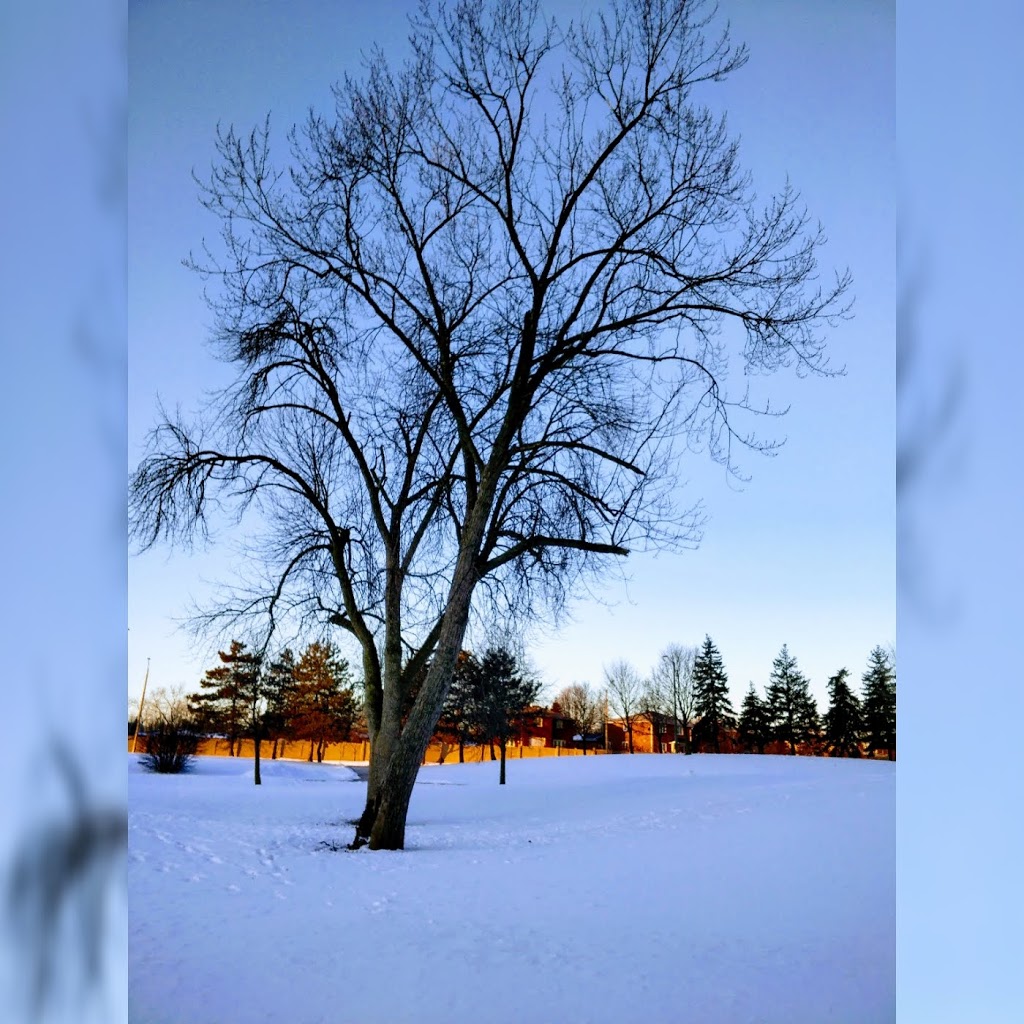 Sgt David Yakichuk Park | Cooksville, Mississauga, ON L5B, Canada