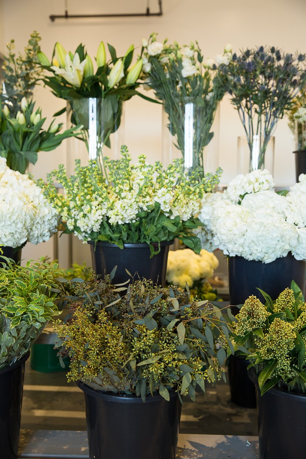 Room to Bloom | 236 Dovedale Dr Unit 4, Keswick, ON L4P 0H3, Canada | Phone: (905) 476-0120