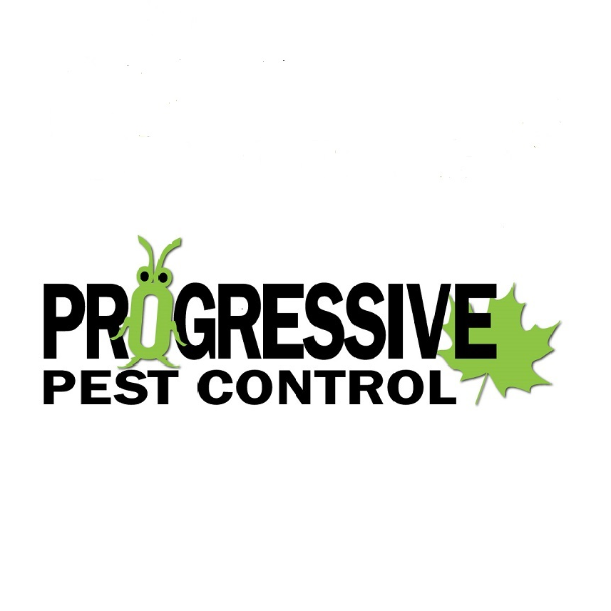 Progressive Pest Control | 31 Wiltshire Dr, Brantford, ON N3R 5B1, Canada | Phone: (226) 201-3749