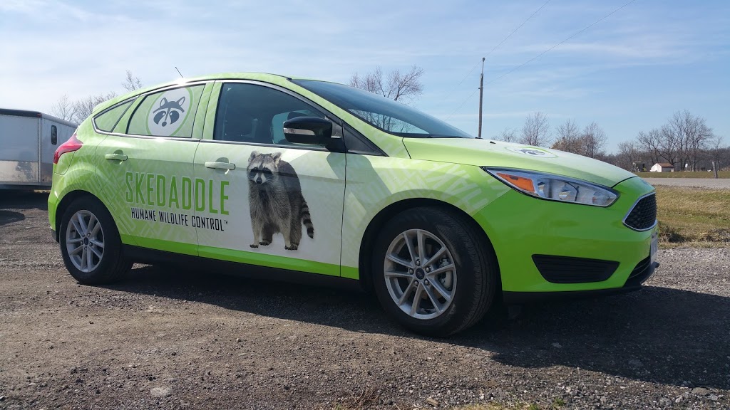 Branded Wraps Inc. | 665 Tradewind Dr #2, Ancaster, ON L9G 4V5, Canada | Phone: (905) 537-1415