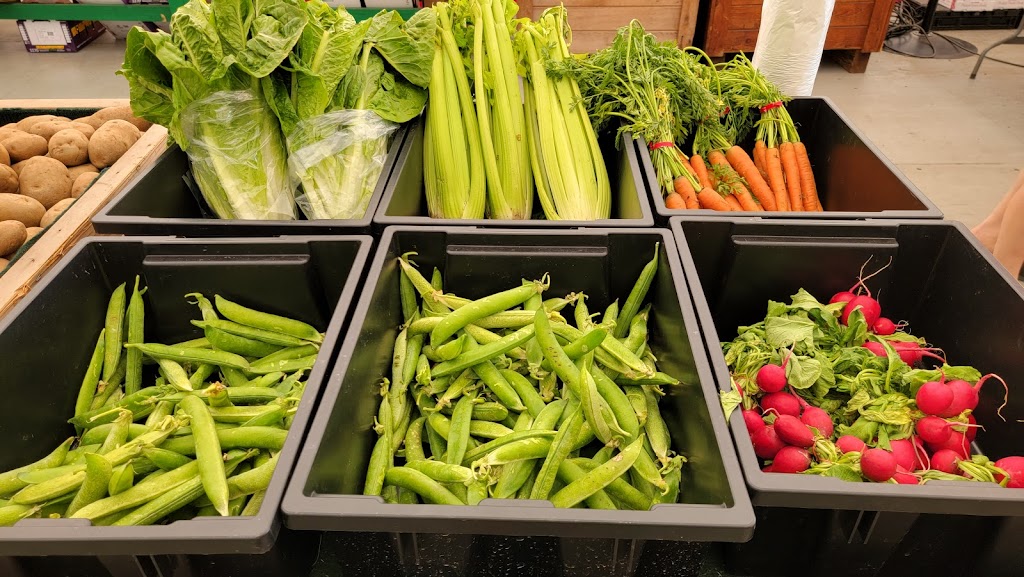 Surrey Farms | 4981 King George Blvd, Surrey, BC V3S 0L2, Canada | Phone: (604) 574-1390
