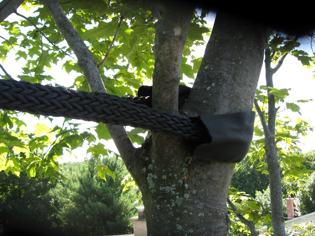 Arboriculteur Et Elagueur | 65 Rue Lorraine, Shefford, QC J2M 1X5, Canada | Phone: (450) 361-9845
