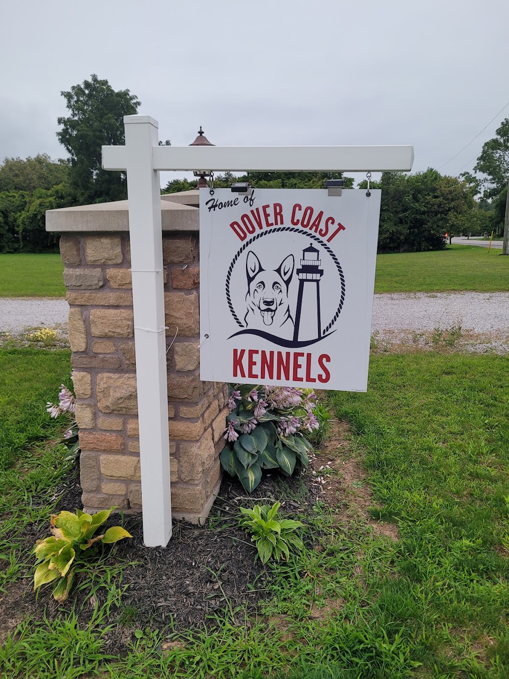 Dover Coast Kennels | point of interest | 20 St Johns Rd E, Simcoe, ON N3Y 4K2, Canada | 5197619734 OR +1 519-761-9734