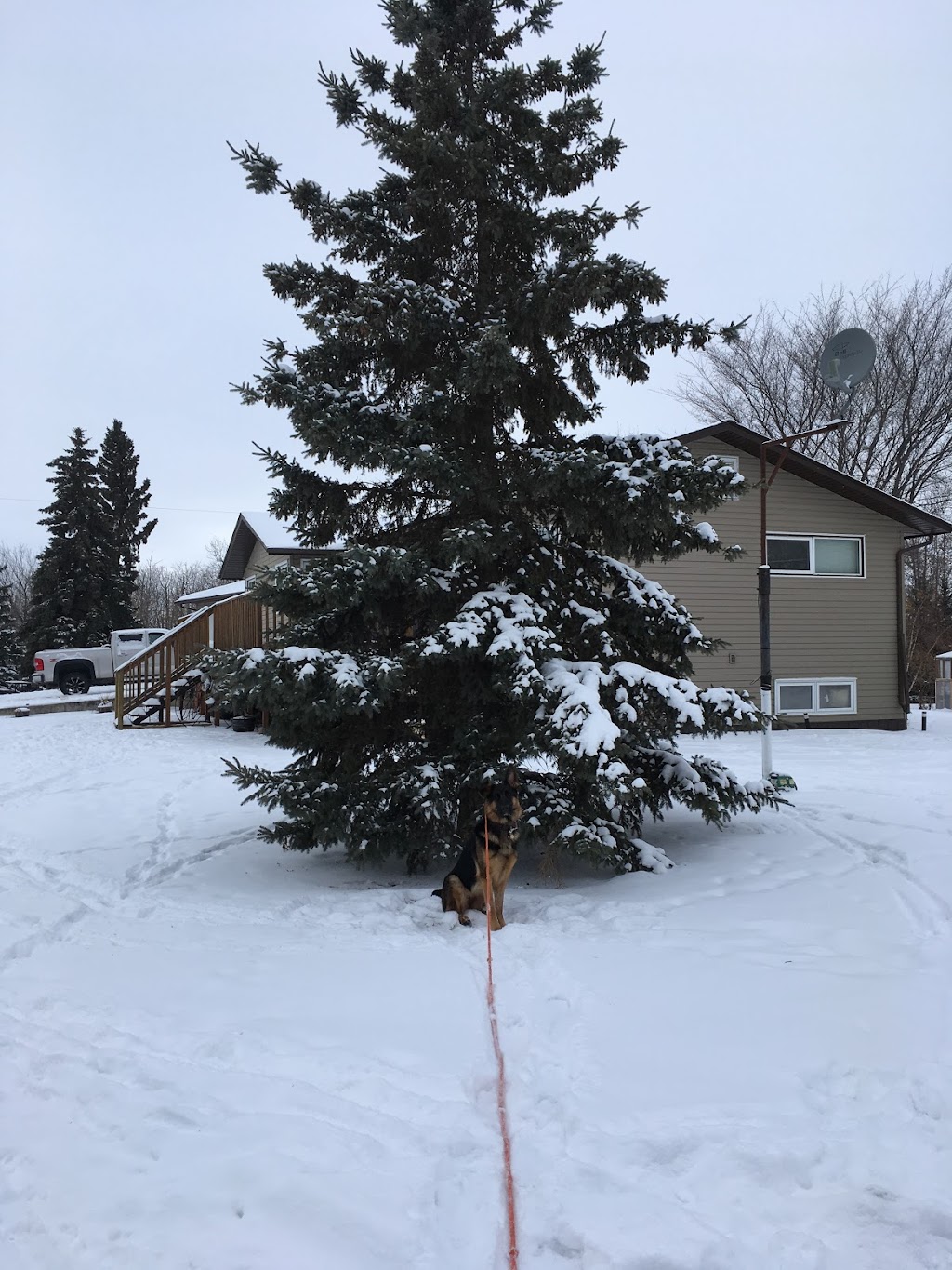 Lamb Farm | 1 Hwy 310 north, SK S0A 1A0, Canada | Phone: (306) 272-7950