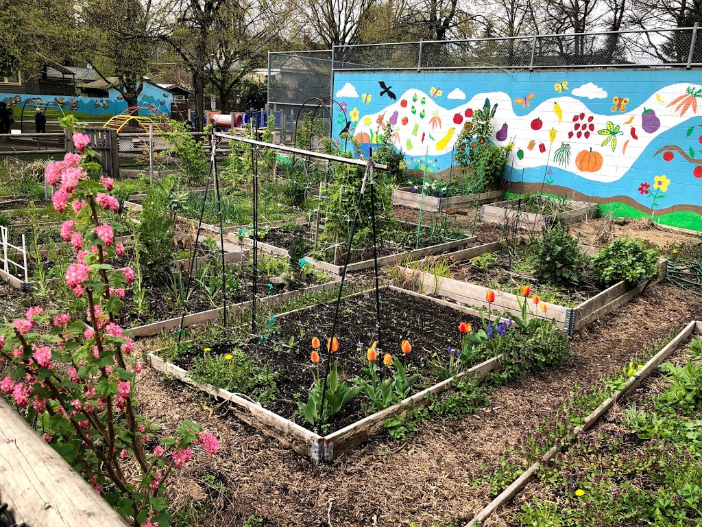 Mcspadden Park Community Garden | 2125 Victoria Dr, Vancouver, BC V5N 4K4, Canada