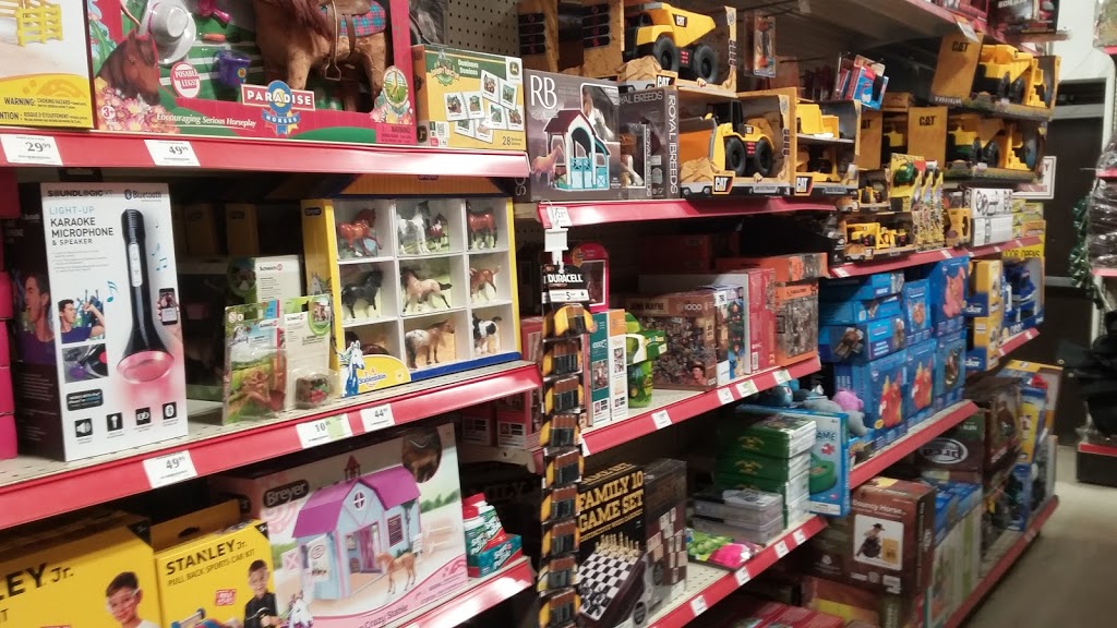 TSC Stores | 490 Brant County Road Unit 18, Brantford, ON N3T 5M1, Canada | Phone: (519) 756-0141
