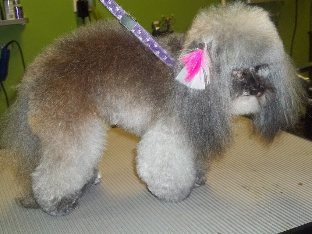 Pawsitively Purrfect Pet Spa | 755 Lake Bonavista Dr SE, Calgary, AB T2J 0N3, Canada | Phone: (403) 258-3322
