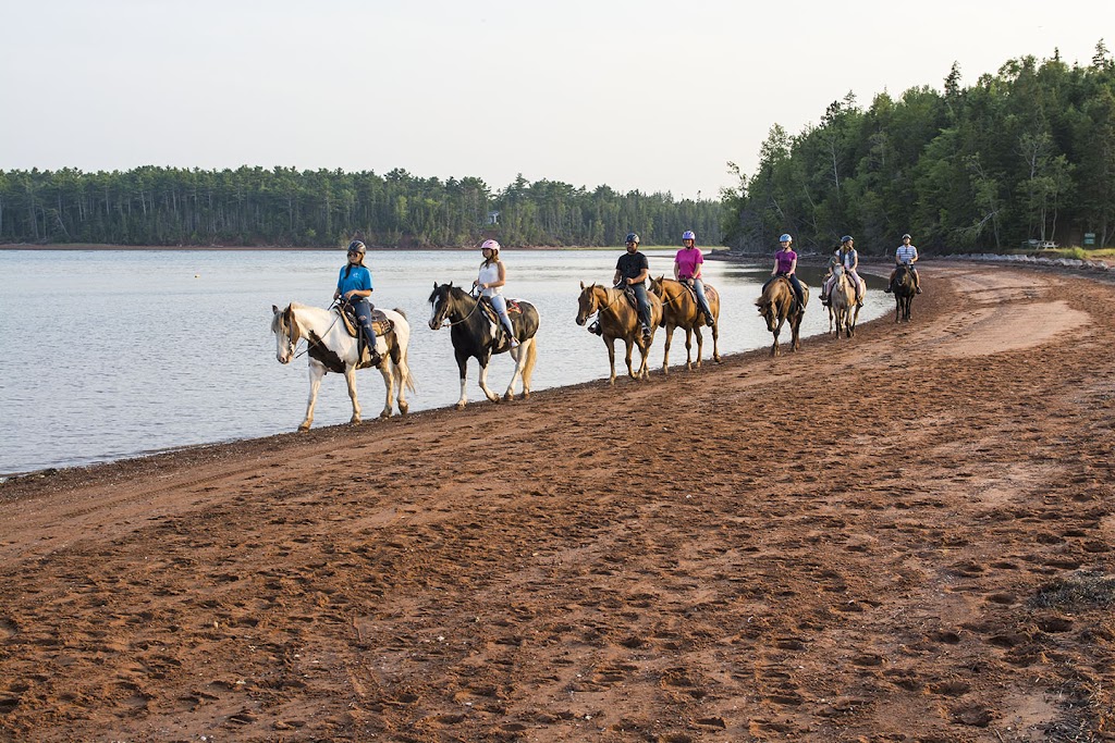 BRUDENELL RIDING STABLES | 235 Brudenell Island Blvd, Cardigan, PE C0A 1G0, Canada | Phone: (902) 652-2396