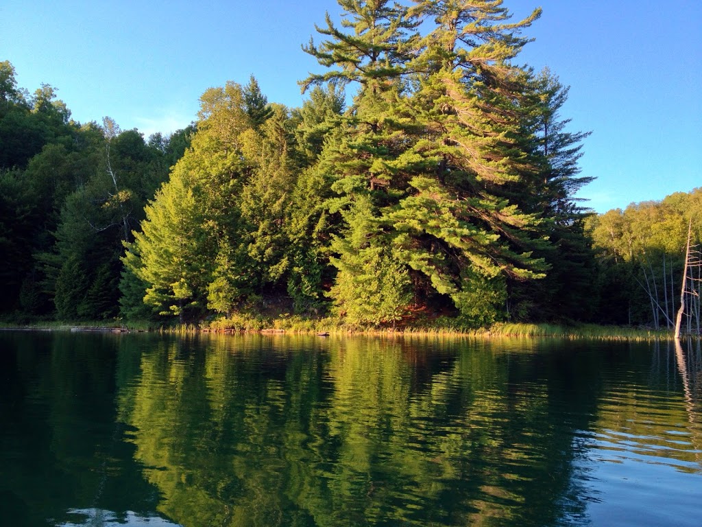 Pourvoirie Baroux Inc | 1141 Chemin de la Pourvoirie Baroux, Amherst, QC J0T 2L0, Canada | Phone: (819) 425-7882