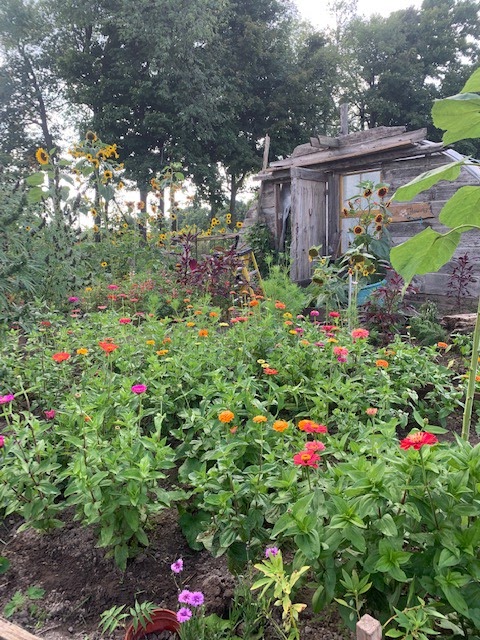 Blooms Away Farm | 6045 10 Line, Erin, ON N0B 1T0, Canada | Phone: (519) 938-0352