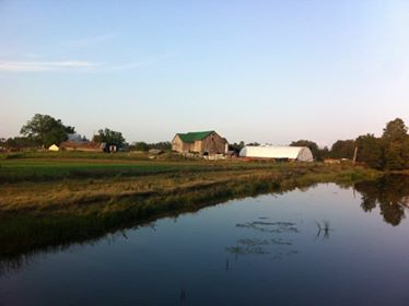 Borrow Family Farm | 2769 Upper Big Chute Rd, Coldwater, ON L0K 1E0, Canada | Phone: (705) 686-7456