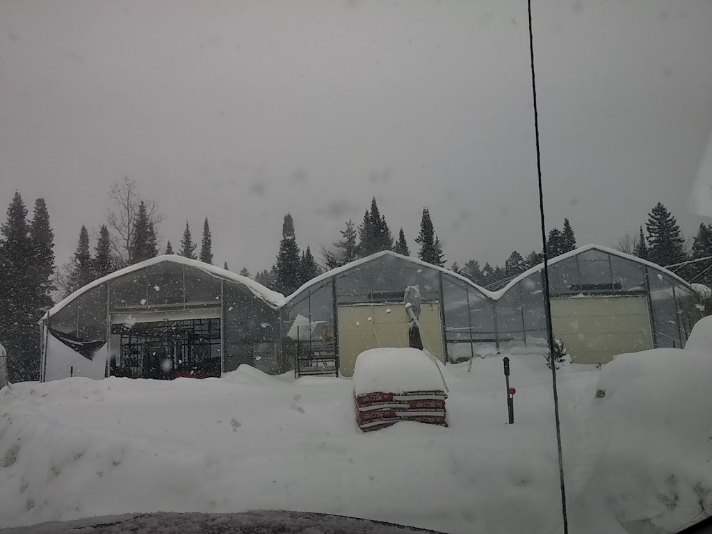 Marché Gariepy | 1417 QC-117, Val-David, QC J0T 2N0, Canada | Phone: (819) 320-0182