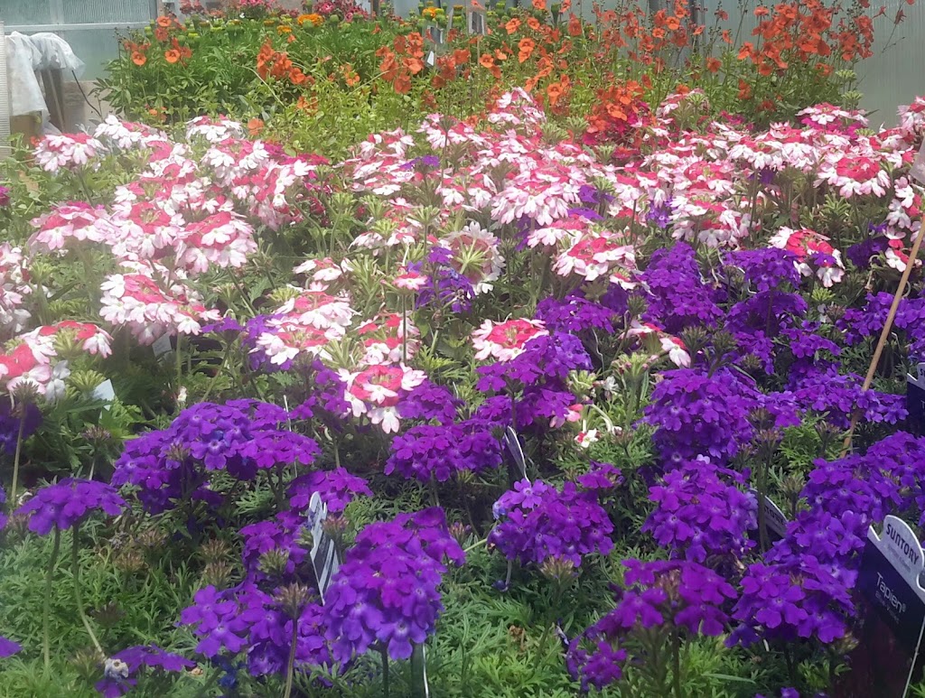 Coastal Gardens | 11580 NS-6, Pugwash, NS B0K 1L0, Canada | Phone: (902) 243-2388
