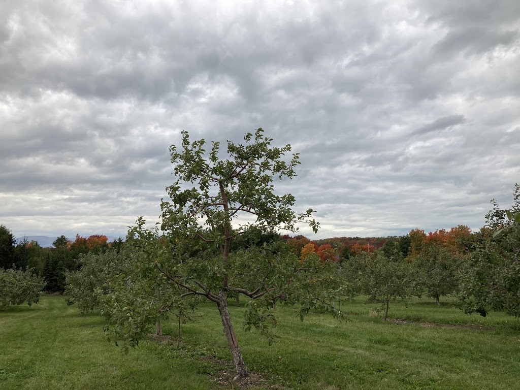 Verger Gaudreau | 1304 Chemin Bellevue O, Cap-Saint-Ignace, QC G0R 1H0, Canada | Phone: (418) 246-5607