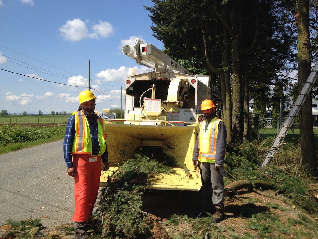 Mid Valley Tree Services Ltd | point of interest | 696 Columbia St, Abbotsford, BC V2T 5X6, Canada | 6047918733 OR +1 604-791-8733