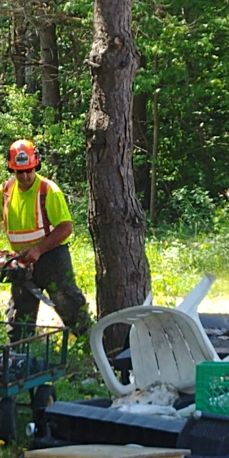 Integrated Woodlot Management | 32 Line 4 South, Oro-Medonte, ON L0L 2L0, Canada | Phone: (705) 735-2100
