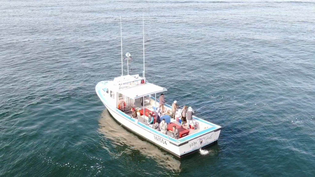 Bobs Deep Sea Fishing | 1X0, 318 Harbourview Dr, North Rustico Harbour, PE C0A 1N0, Canada | Phone: (902) 963-2666