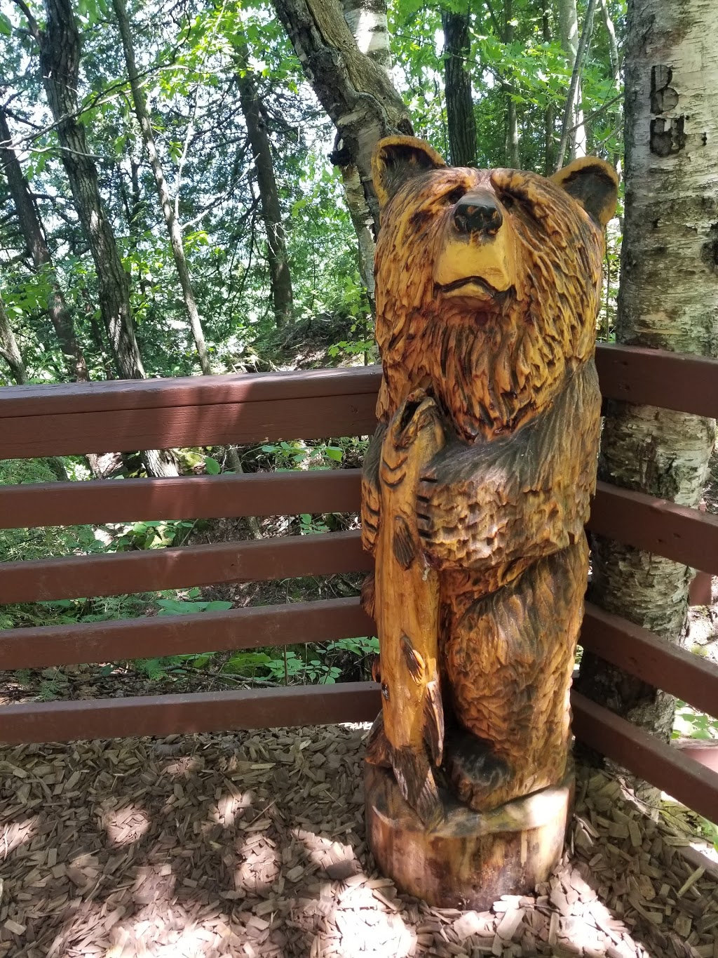 Scenic Caves Nature Adventures | 260 Scenic Caves Rd, The Blue Mountains, ON L9Y 0P2, Canada | Phone: (705) 446-0256