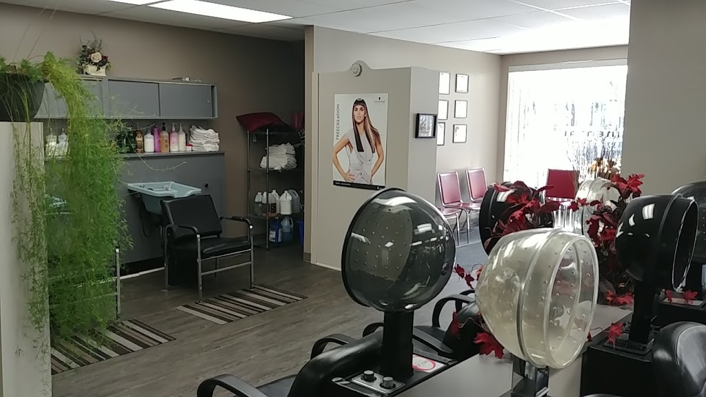 Continental Hair Styling | 31 Queen St E, Cambridge, ON N3C 2A7, Canada | Phone: (519) 658-4811