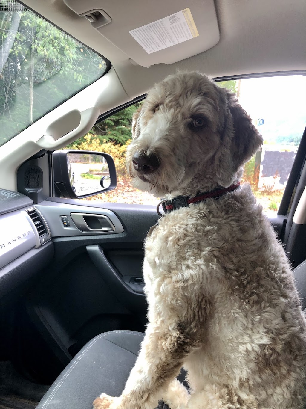 Ruff Stuff Dog Services | 40667 Government Rd, Garibaldi Highlands, BC V0N 1T0, Canada | Phone: (604) 733-6483