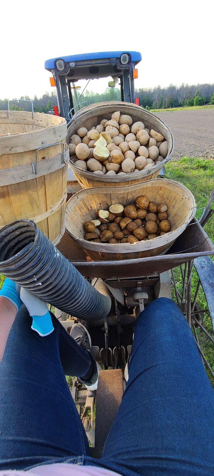 Lytles Organic Vegetables | 5135 Upper Dwyer Hill Rd, Arnprior, ON K7S 3G7, Canada | Phone: (613) 790-0037