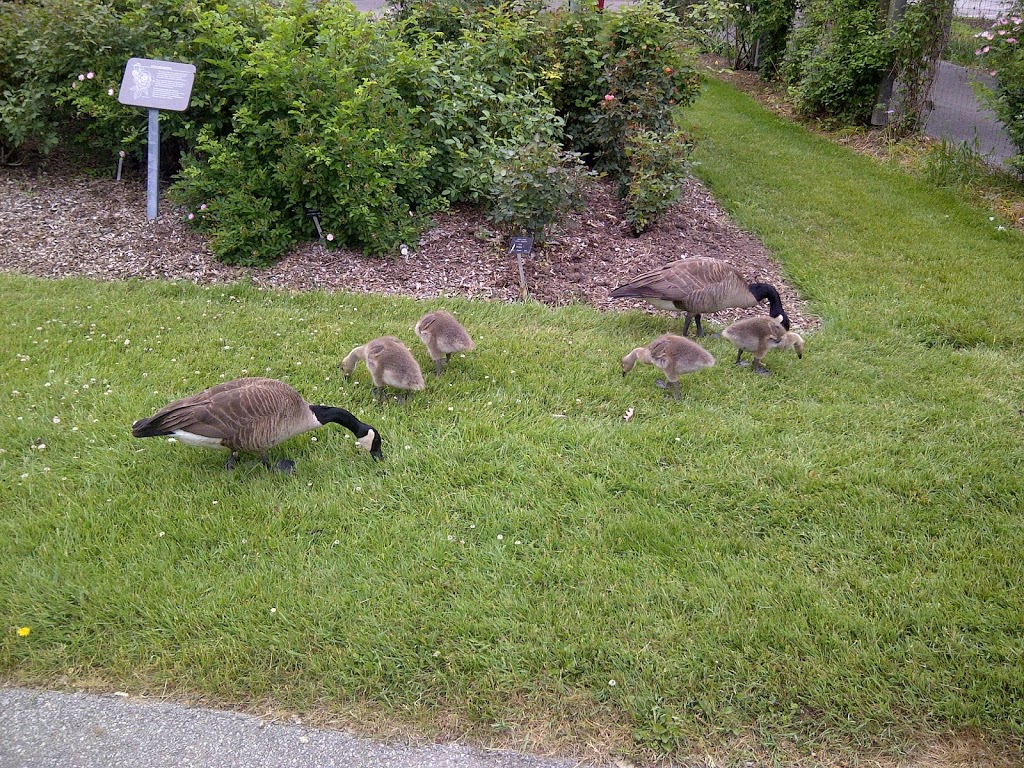 Hidden Valley Park | 1137 Hidden Valley Rd, Burlington, ON L7P, Canada | Phone: (905) 335-7738