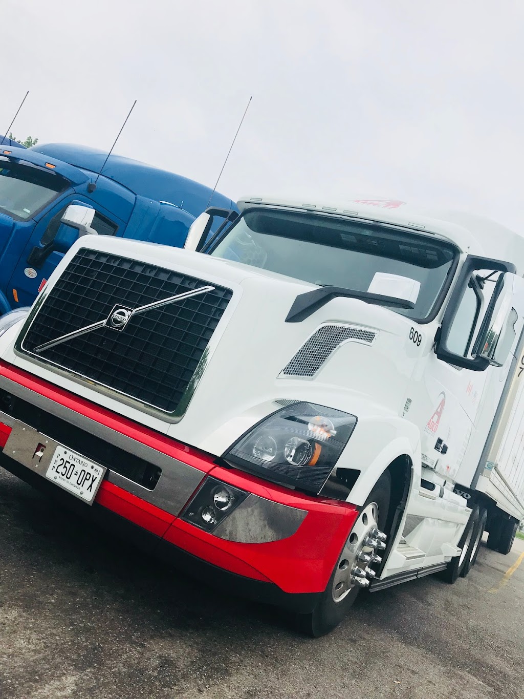 Adco Logistics | 7459 McLean Rd, Puslinch, ON N0B 2J0, Canada | Phone: (905) 564-6564