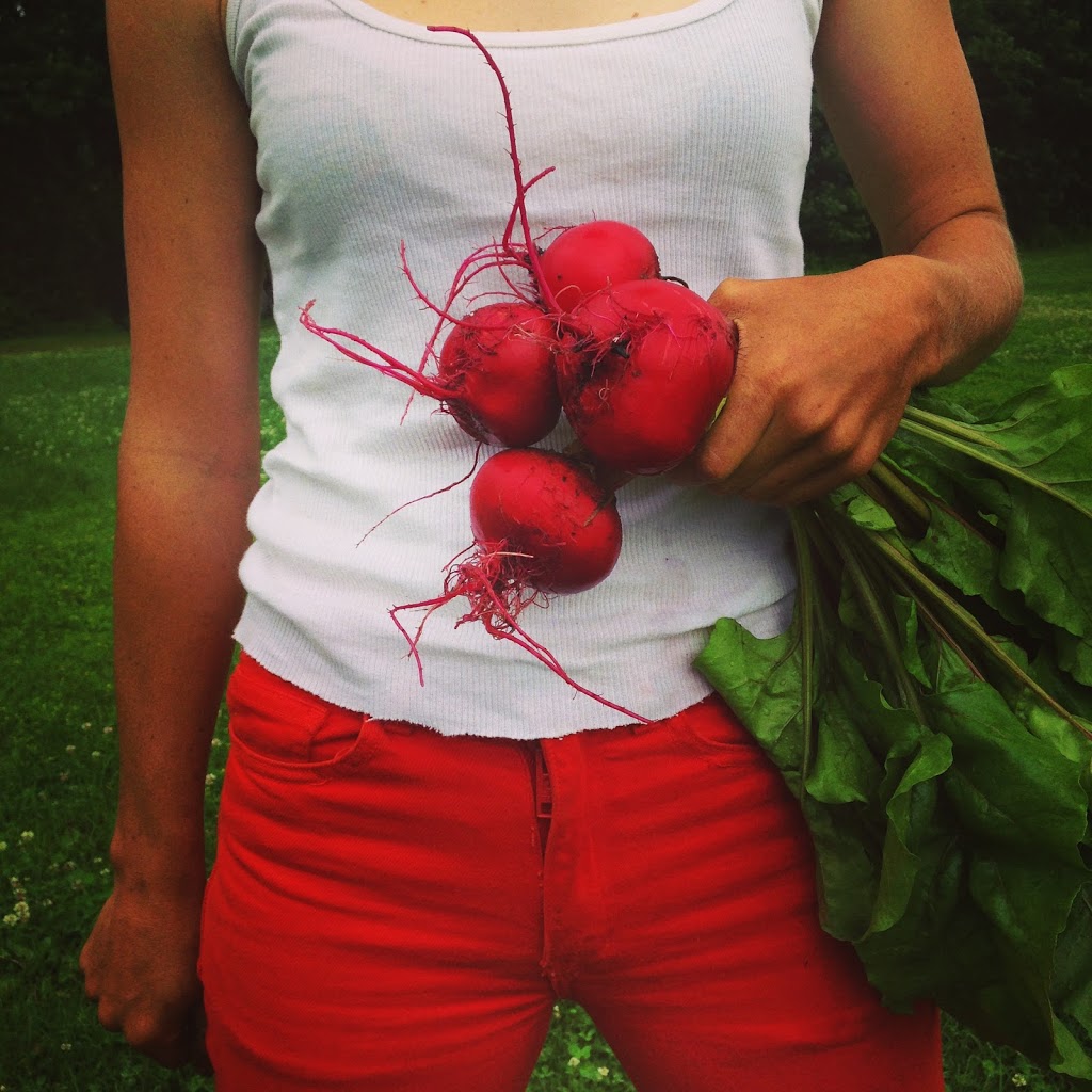 Roots and Shoots Farm | 115 Chemin de la Beurrerie, Alcove, QC J0X 1A0, Canada | Phone: (613) 897-8975