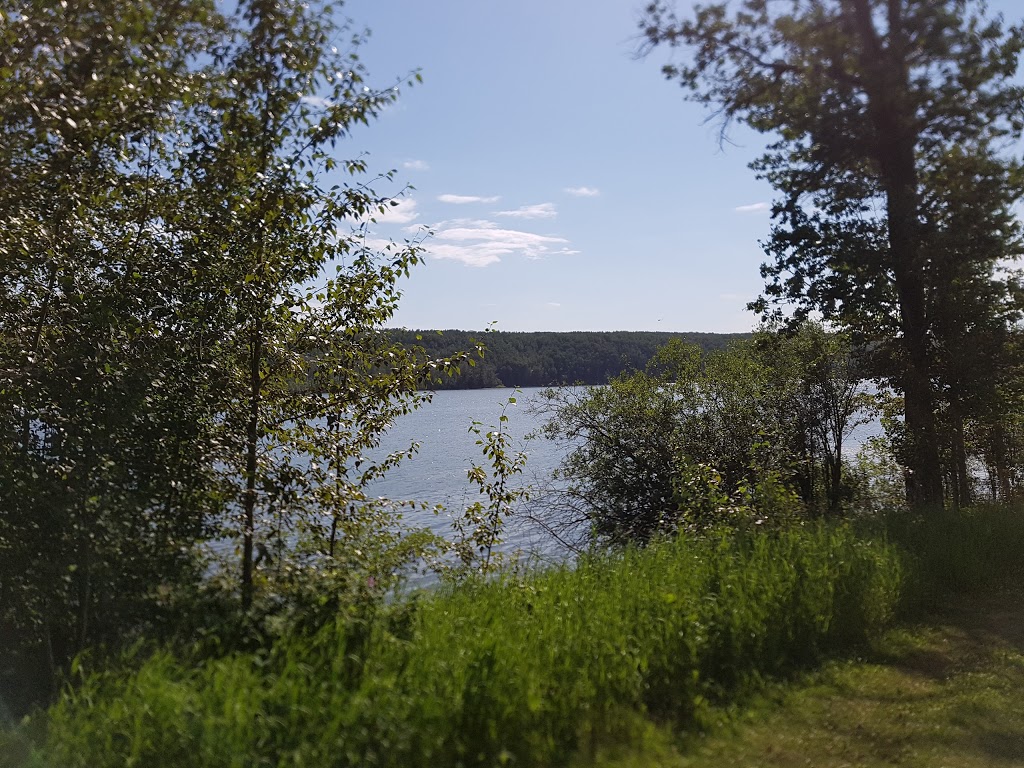 Battle Lake Park | Township Rd 462B, Winfield, AB T0C 2X0, Canada