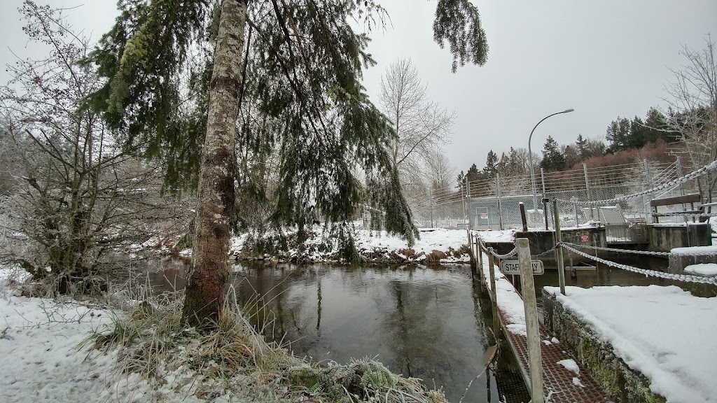 Little Qualicum River Fish Hatchery | 1391 Claymore Rd W, Qualicum Beach, BC V9K 2T6, Canada | Phone: (250) 752-3231