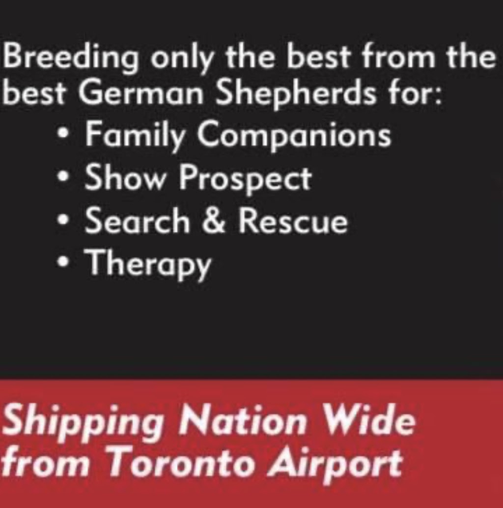 Redwood German shepherds kennel | 100 Hwy 17, Walford, ON P0P 2E0, Canada | Phone: (705) 849-4001