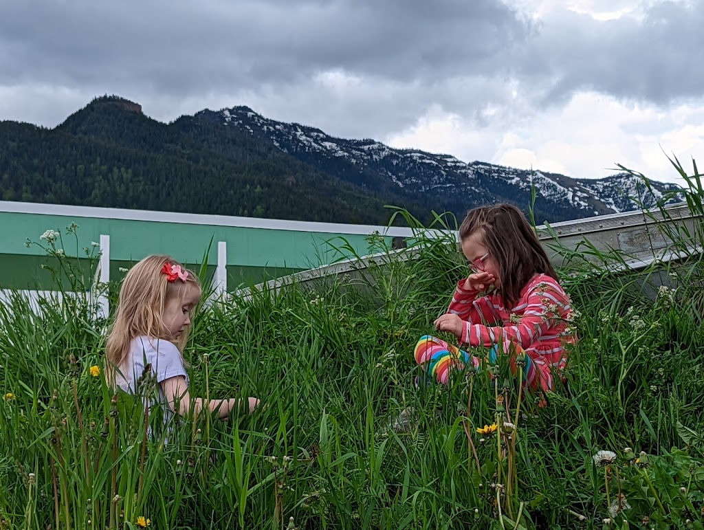 Fernie Forest School Society Preschool | 44 Mt Washburn St, Fernie, BC V0B 1M3, Canada | Phone: (250) 423-0407