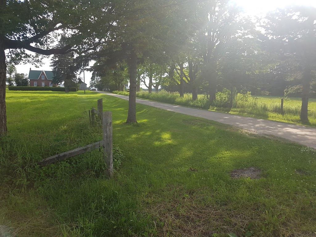 Egos Berry Farm | 3608 9 Line N, Coldwater, ON L0K 1E0, Canada | Phone: (705) 835-3124