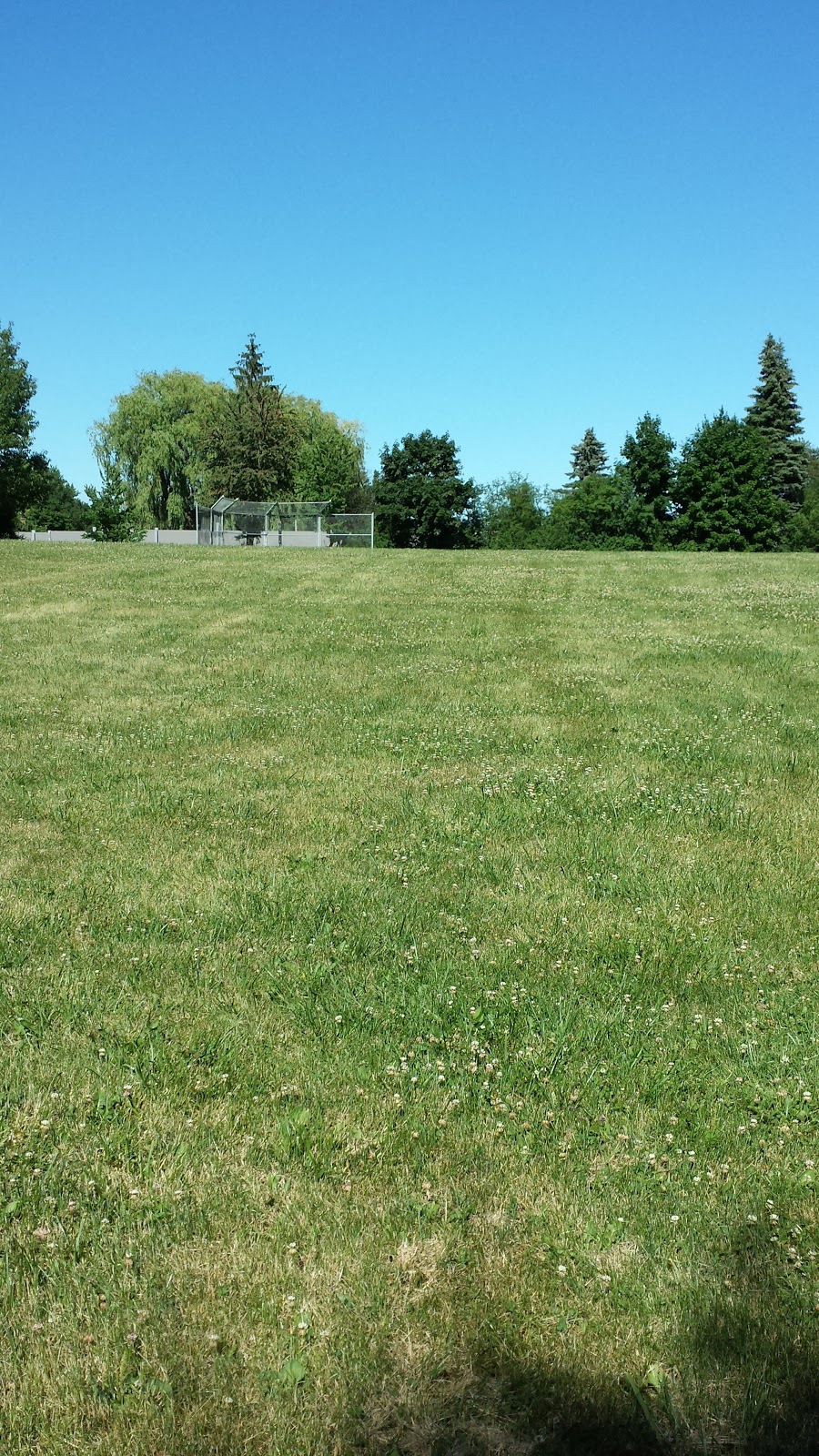 Havendale Park | 5 Belgreen Ave, Scarborough, ON M1S 1G3, Canada